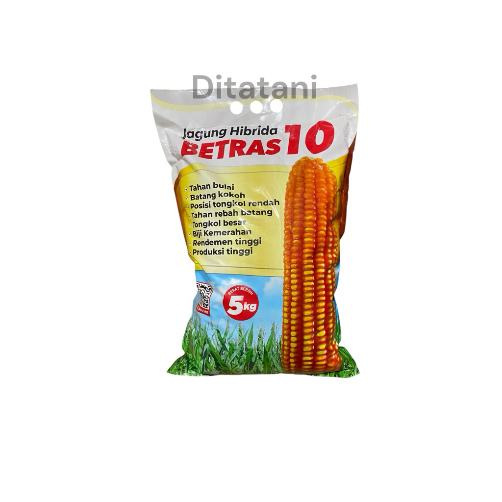 JAGUNG BETRAS 1 BINTANG betras 10 betras 9 ASIA 5KG benih unggul termurah jagung hibrida