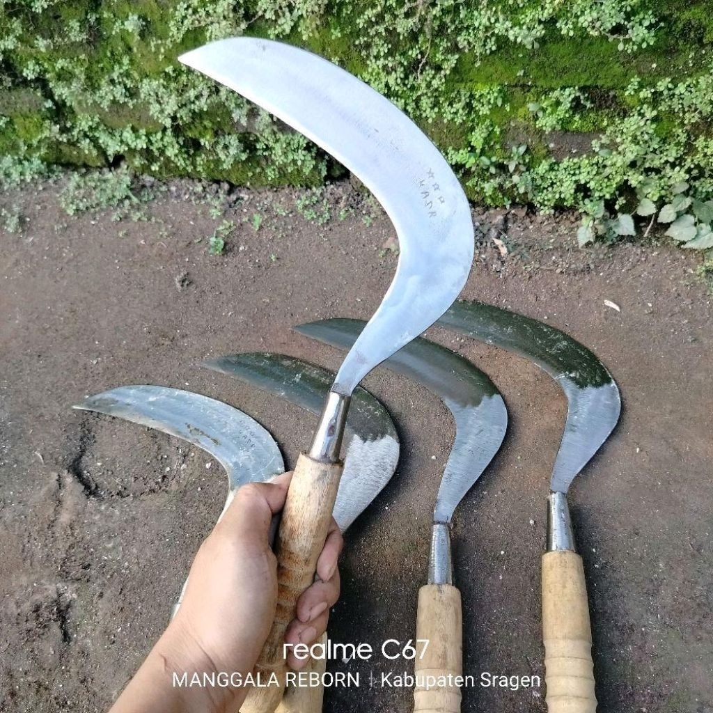 Sabit pemangkas Rumput Bahan dari Baja putih Berkualitas