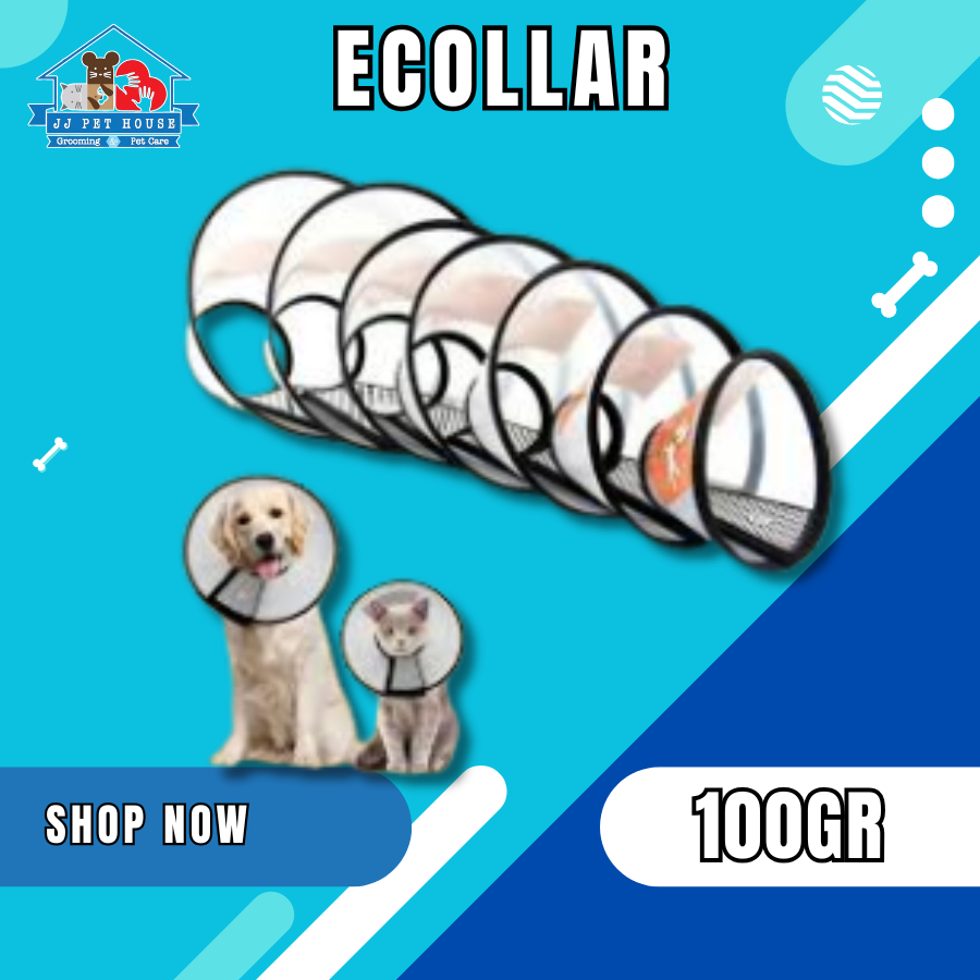 ECOLLAR -  MAINAN LEHER KUCING / ANJING