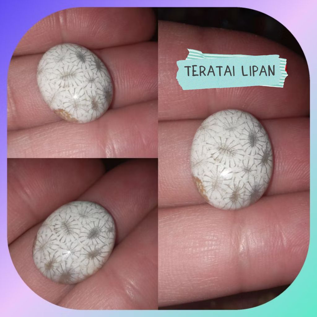 Batu cincin teratai lipan batu cincin antik top natural