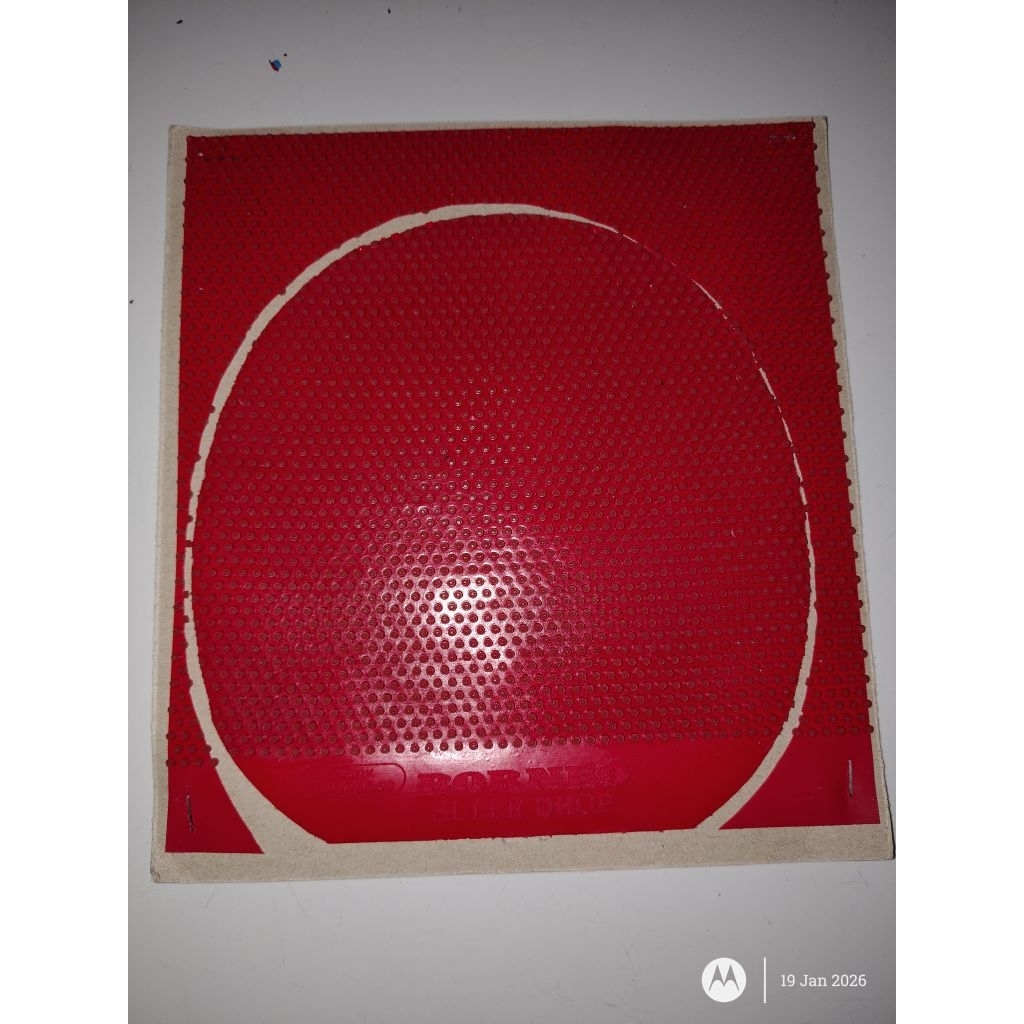 karet bintik jahanam borneo super drop