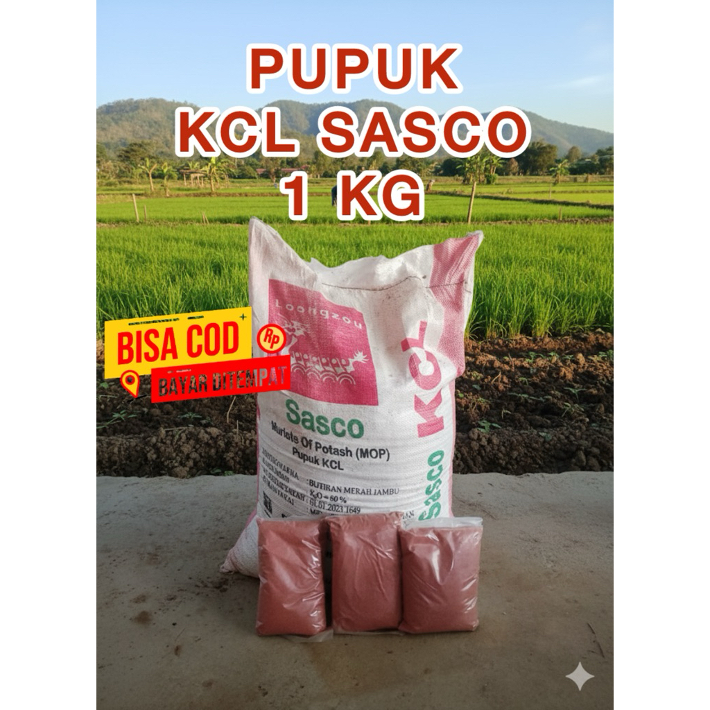 Pupuk KCL / MOP Sasco Kemasan 1 KG