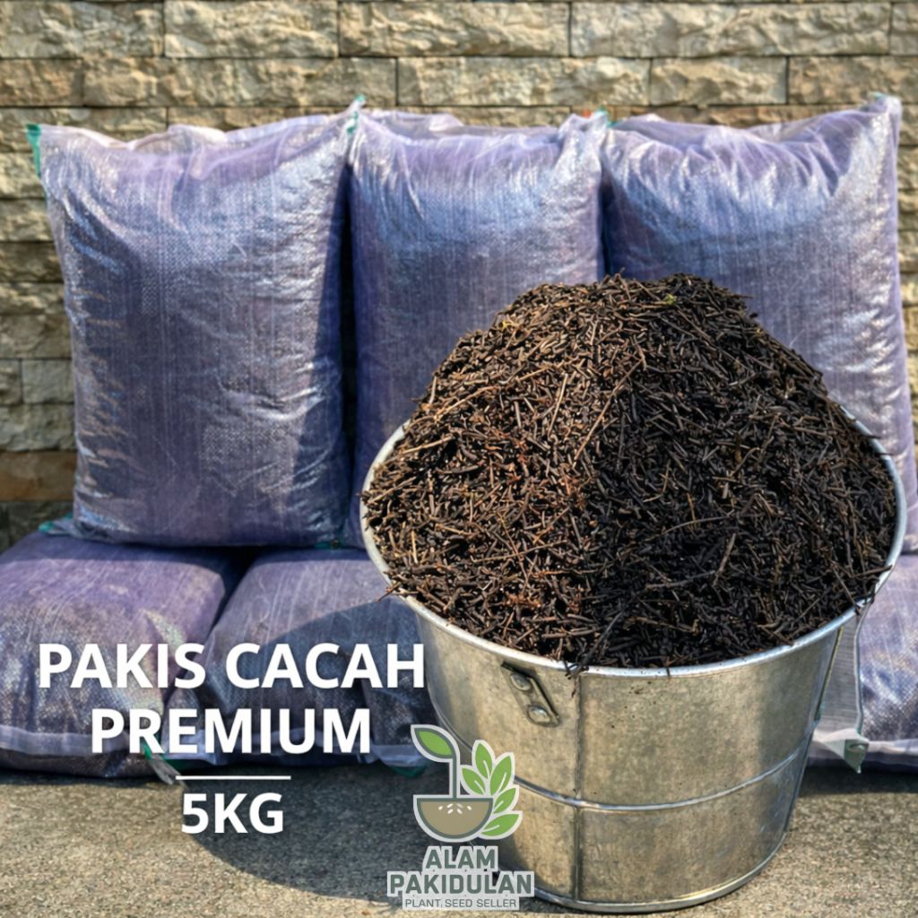 Pakis Cacah Akar Pakis Halus 1 Karung 5 KG