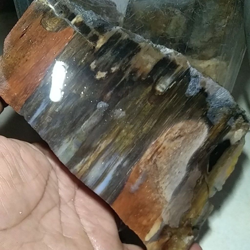 BATU FOSIL KELOR MERAH SUPER CRYSTAL BISA MENYALA TESPEN