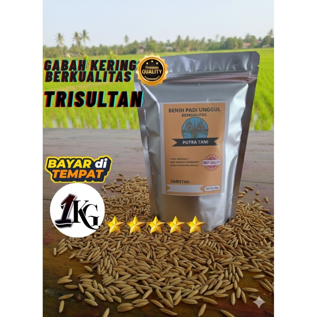 Benih padi bibit padi unggul TRISULTAN kemasan 1kg
