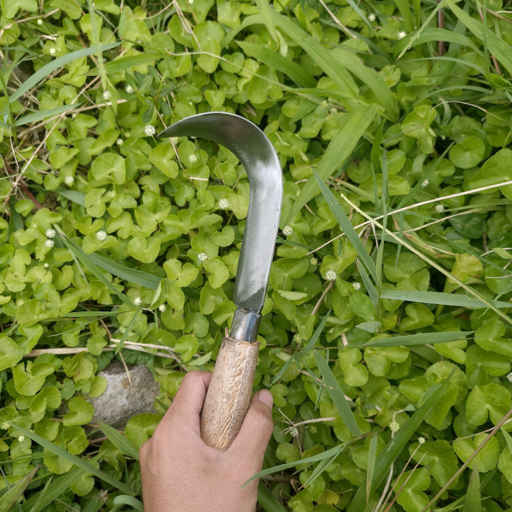 Pisau Kupas Ati Nangka/kupas tulang nangka