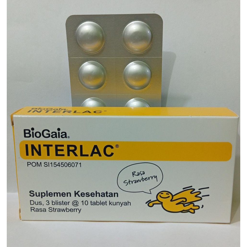 Interlac tablet kunyah / probiotik dewasa