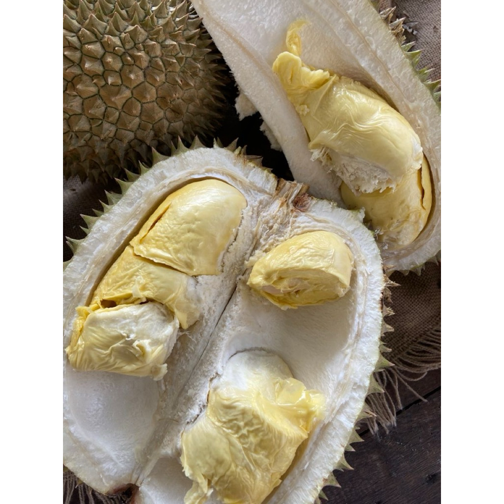 Durian Bawor Utuh Matang Pohon Berat 2-3kg