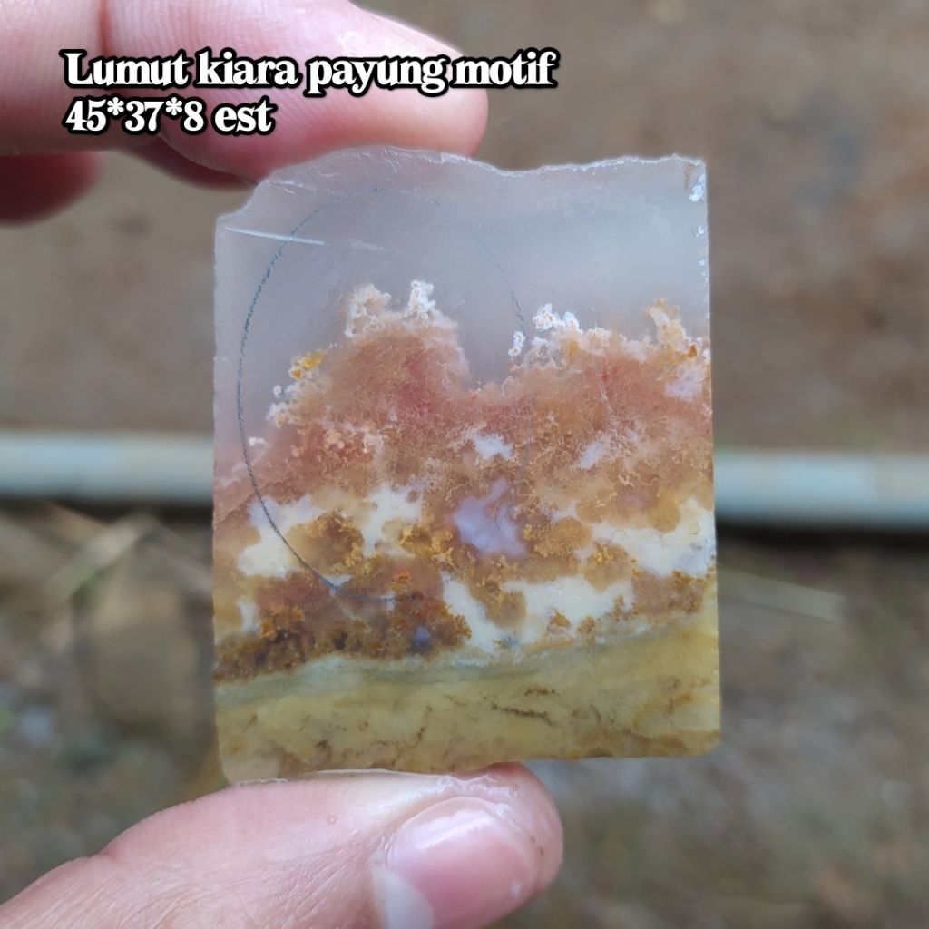 (BISA COD) Bahan Lempengan Batu Akik Pancawarna Garut Lumut kiara payung
