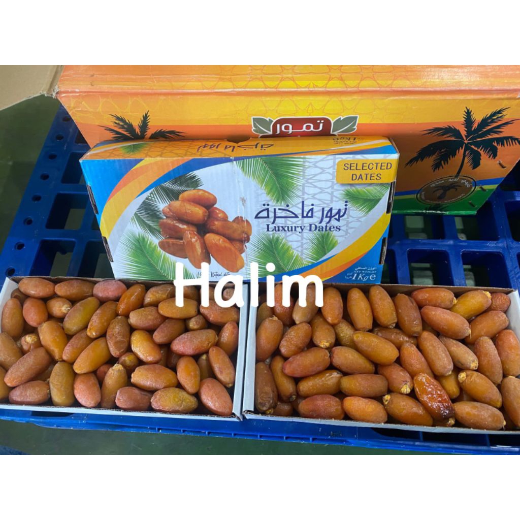 Kurma Ruthob Libya Segar 1kg – Tekstur Renyah