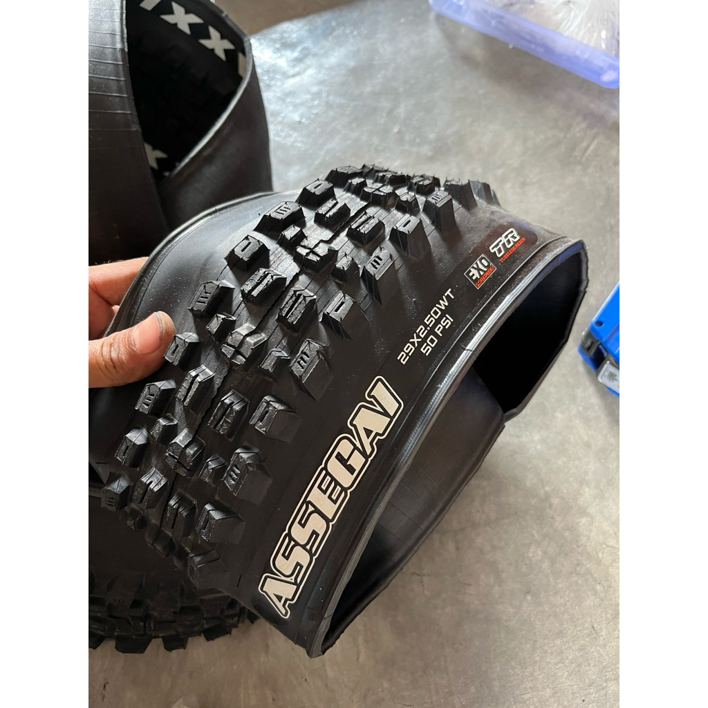 ban luar maxxis assegai 29 x 2.50 tubbeles ready