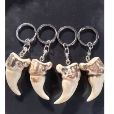 aksesoris liontin gantungan kuku macan