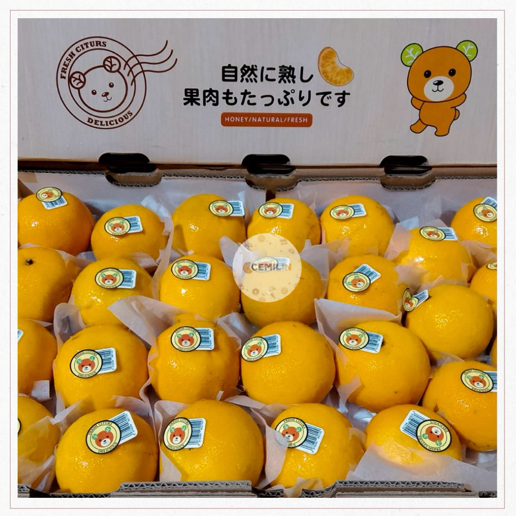 Jeruk Mandarin Wogan | Jeruk Wokam Dus