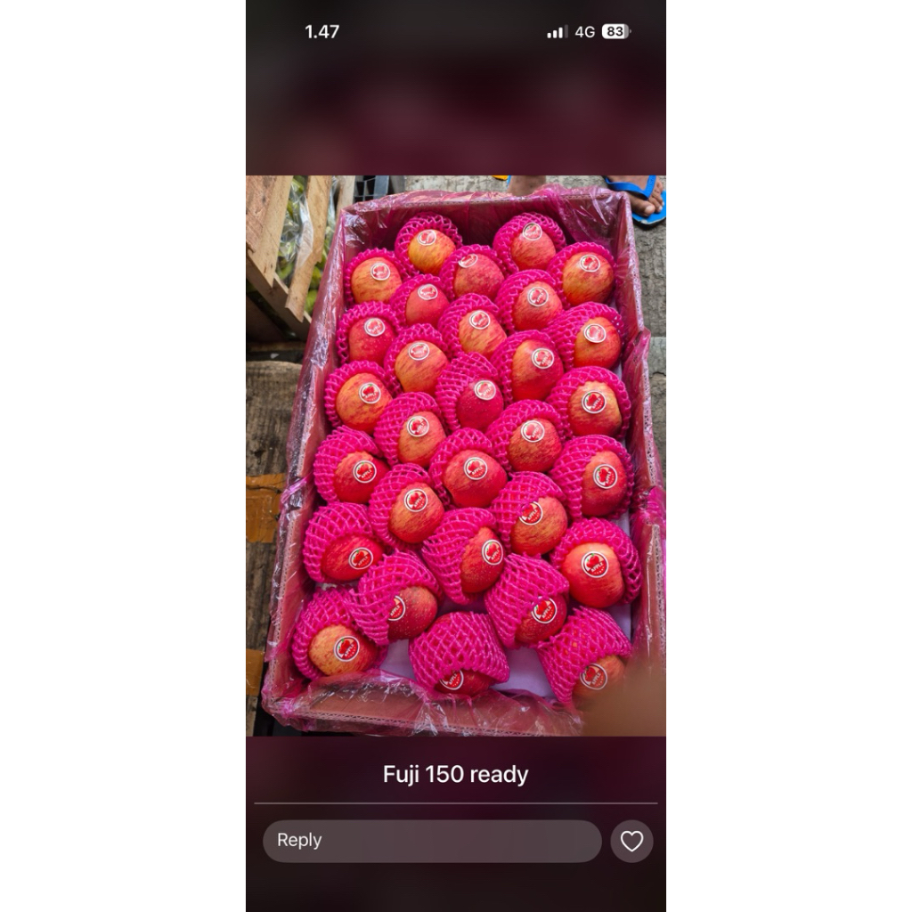 APEL FUJI ISI 150 - 1 dus