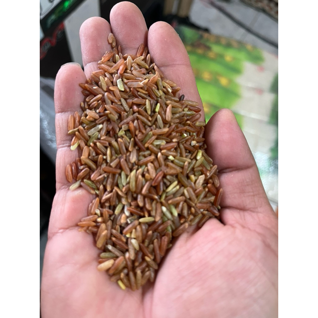 Beras Merah 1 Kg/ Beras Diet 1 Kg/ Beras khusus diabetes 1 Kg