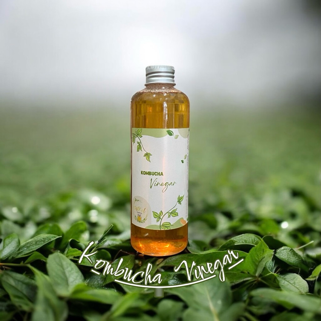 Cuka Kombucha - Kombucha Vinegar