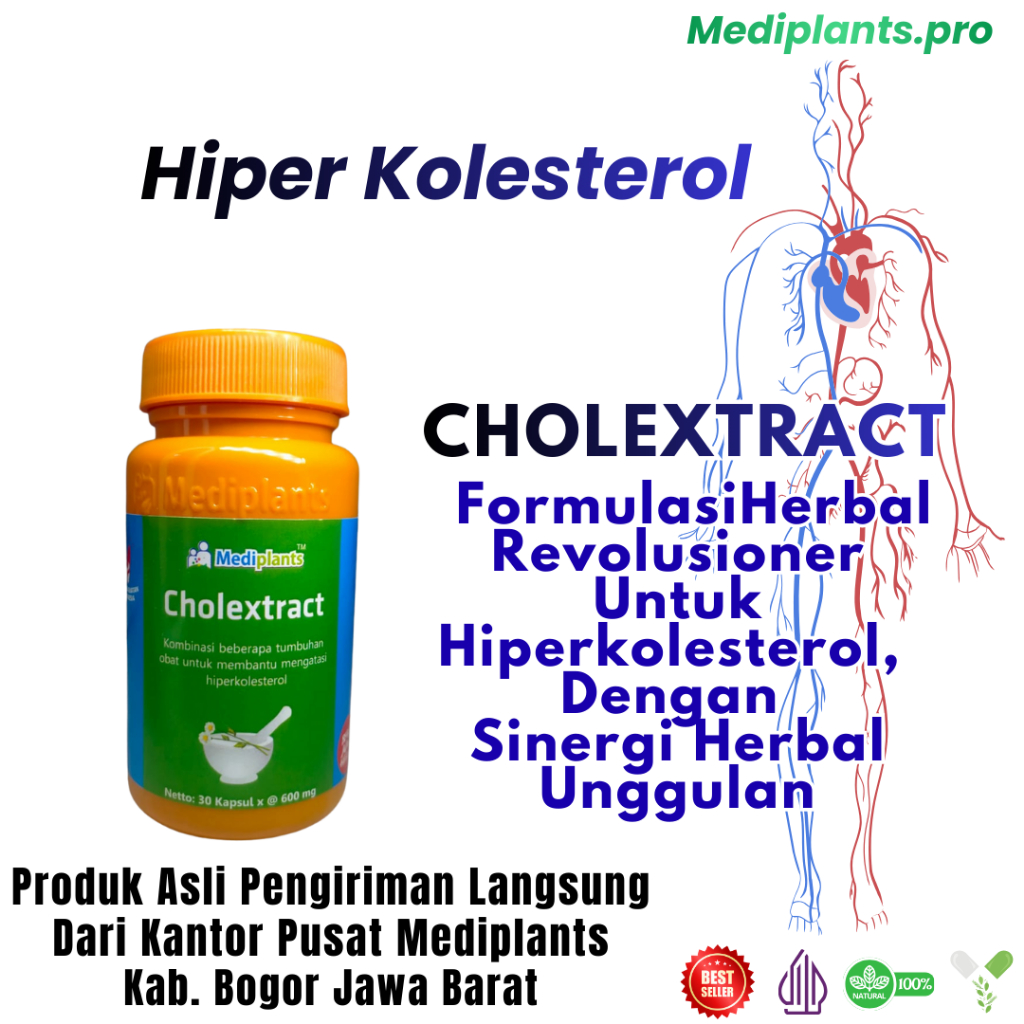Mediplants Cholextract - Herbal Hiperkolesterol - Obat Penurun Kolesterol Dan Trigliserida - Origina