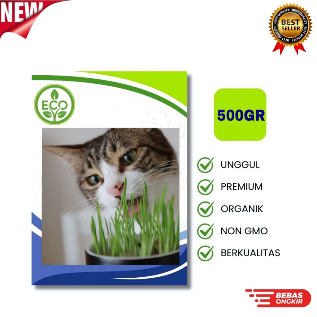 Benih RUMPUT KUCING [500GRAM] - Biji Wheatgrass Rumput Gandum