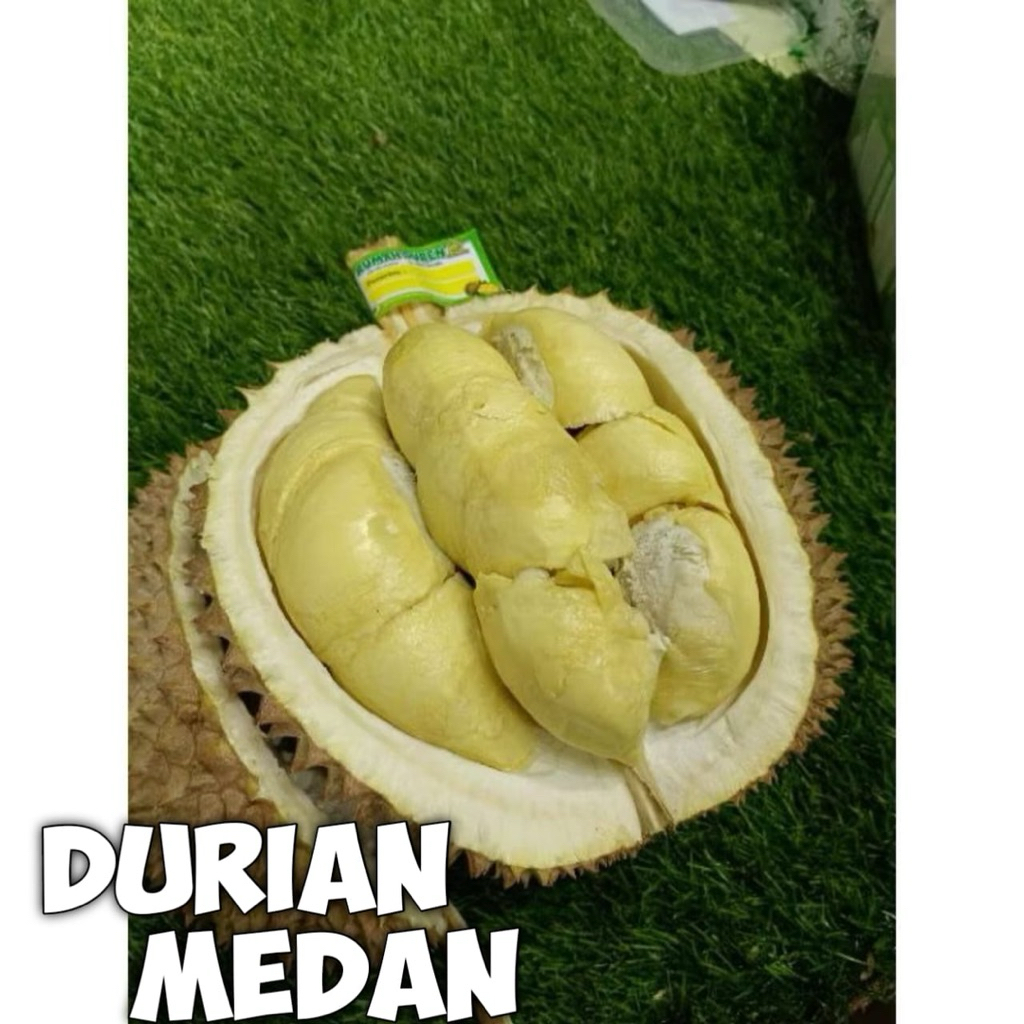 PROMOSATU DURIAN MEDAN PREMIUM UTUH 2kg