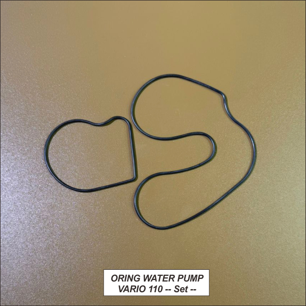 Oring Water Pump Vario 110  -- Set --
