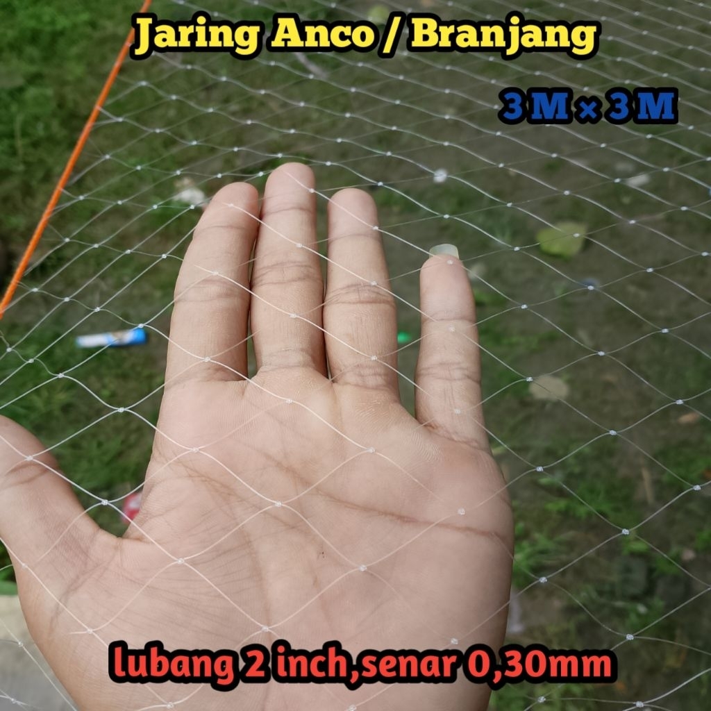 jaring Anco 3m×3m ,lubang 2 inch ,senar 0,30mm kuat dan tahan lama ,jaring perangkap ikan, tangkul
