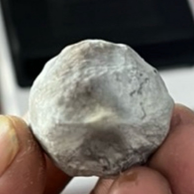 MUNCANG KEMIRI ADU JAWA ORI SI RUNGSING