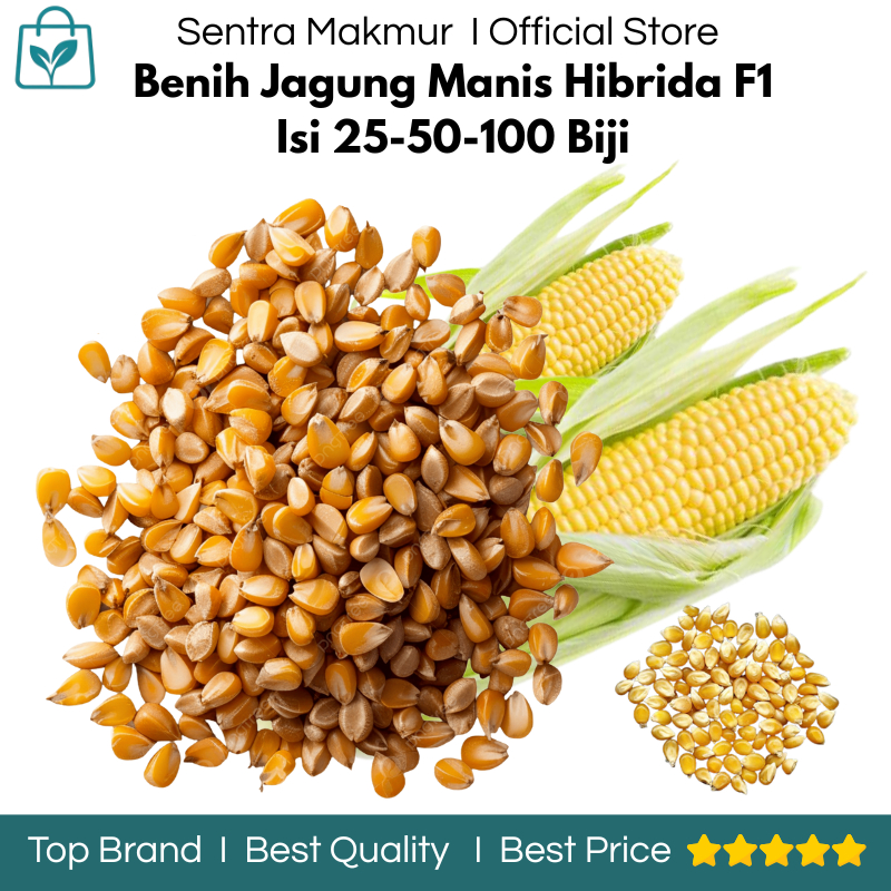 Benih Jagung Hibrida F1 Isi 25/50/100 Biji - Benih Jagung Manis Hidrida - Benih Jagung Manis Madu - 