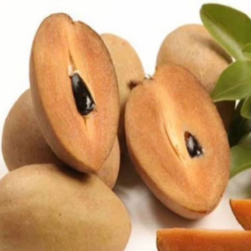 Biji sawo/kecik/40 biji