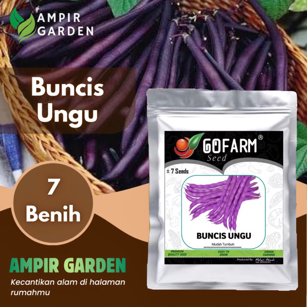 Benih BUNCIS UNGU Kemasan Premium GOFARM / Biji Sayuran Kacang Buncis Ungu