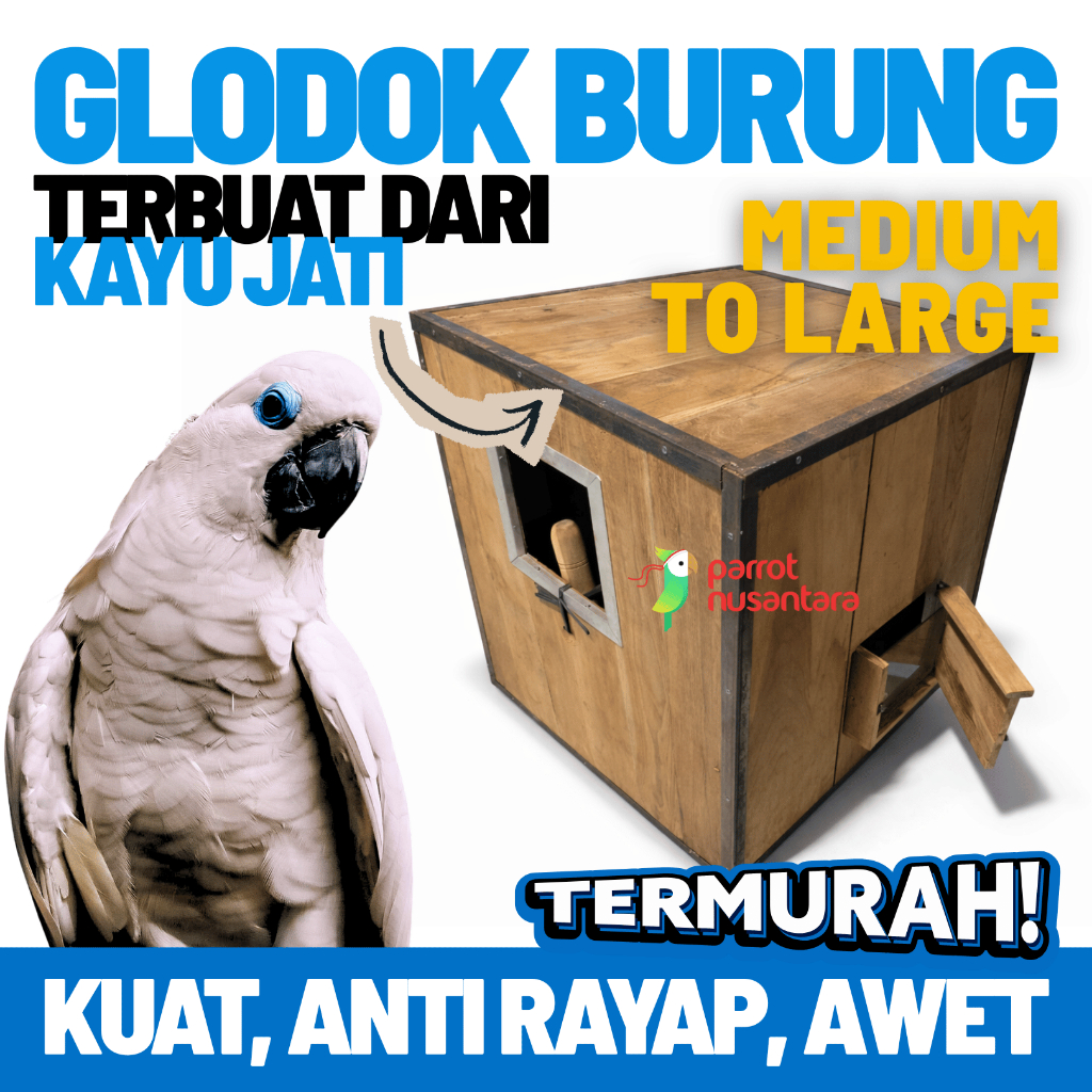 Glodok Burung Kayu Jati Belanda Medium to Large - Cocok untuk Sun Conure, Afgrey, Kakatua, Macaw dan