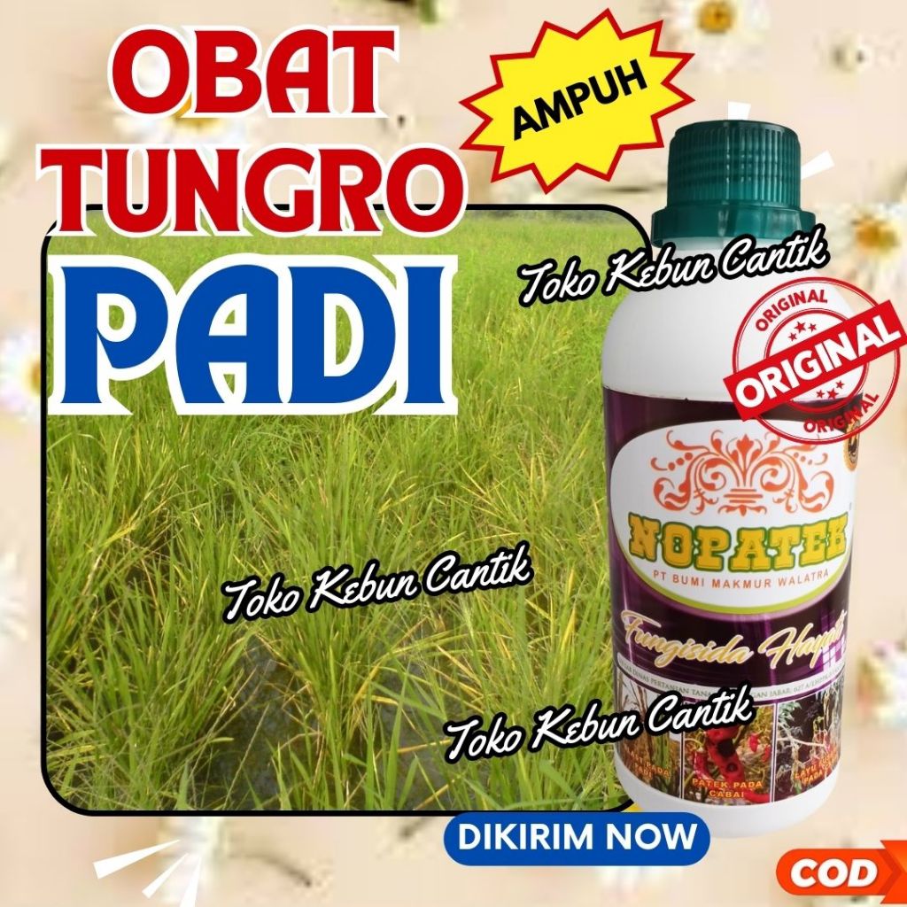 NOPATEK 500ml Obat Blast Padi Sawah Ramah Lingkungan