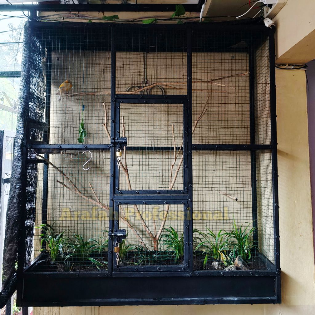 SECOND Sangkar Kandang Burung Ternak Umbaran Koloni Aviary Mini Kenari Lovebird Finch Konin Full Bes