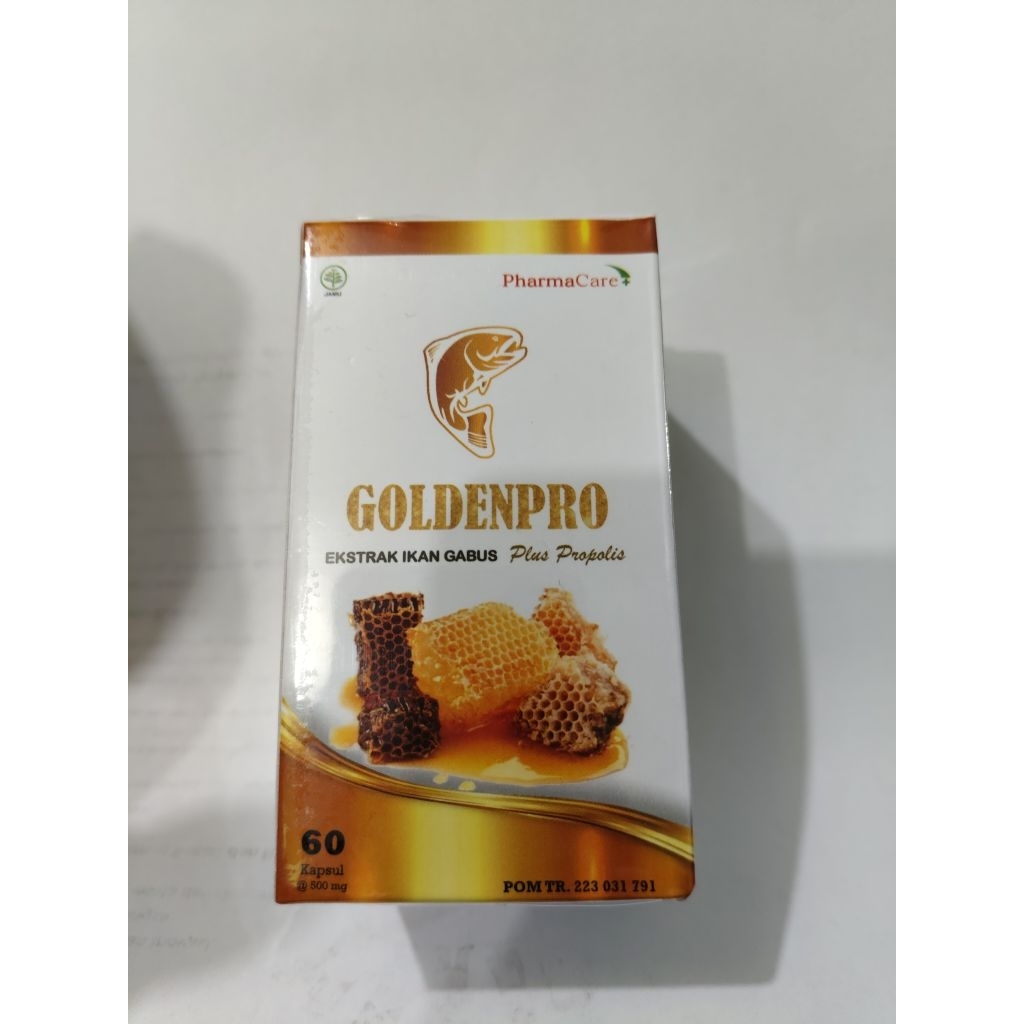 Goldenpro kapsul ekstra ikan gabus isi 60