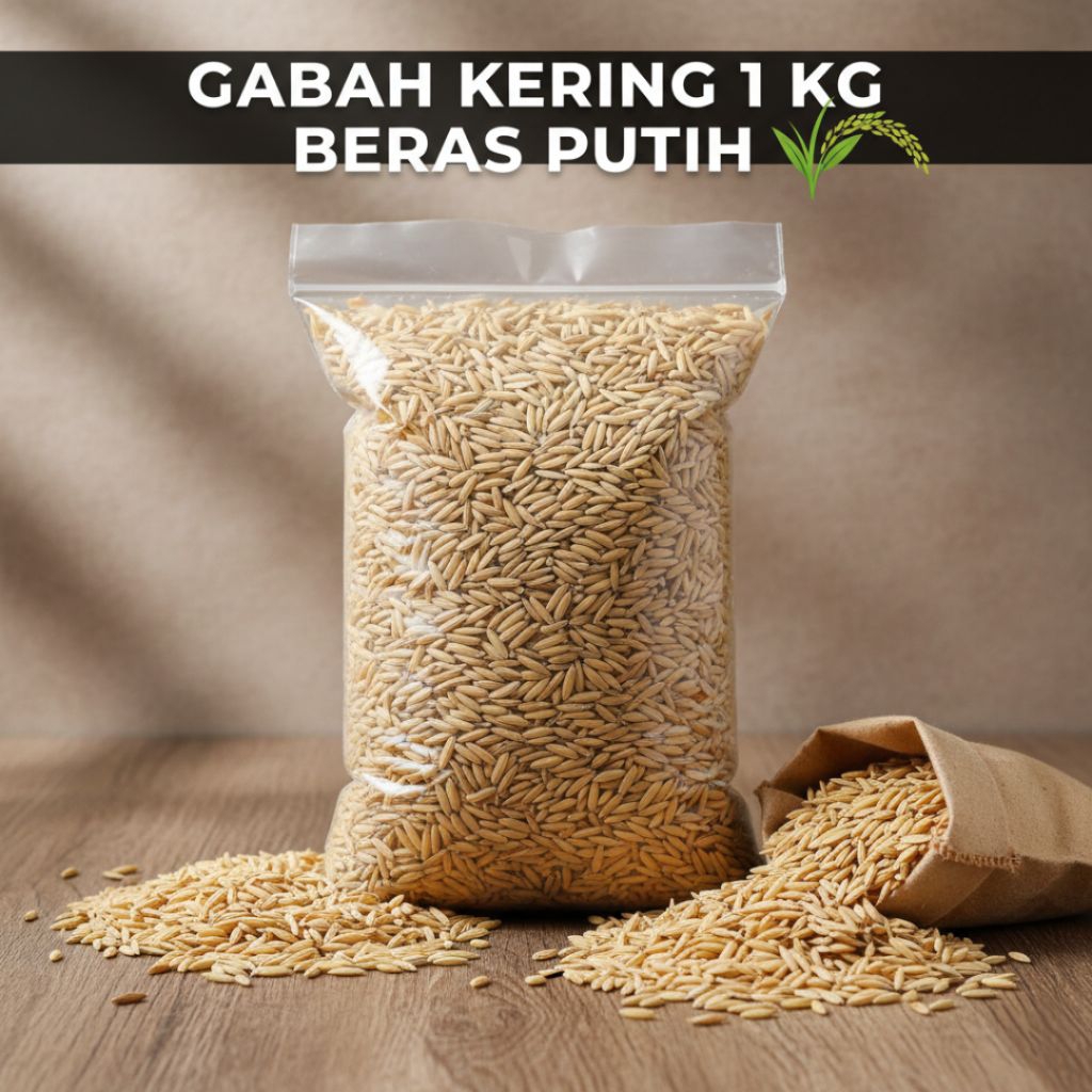 GABAH KERING 1 KG BERAS PUTIH