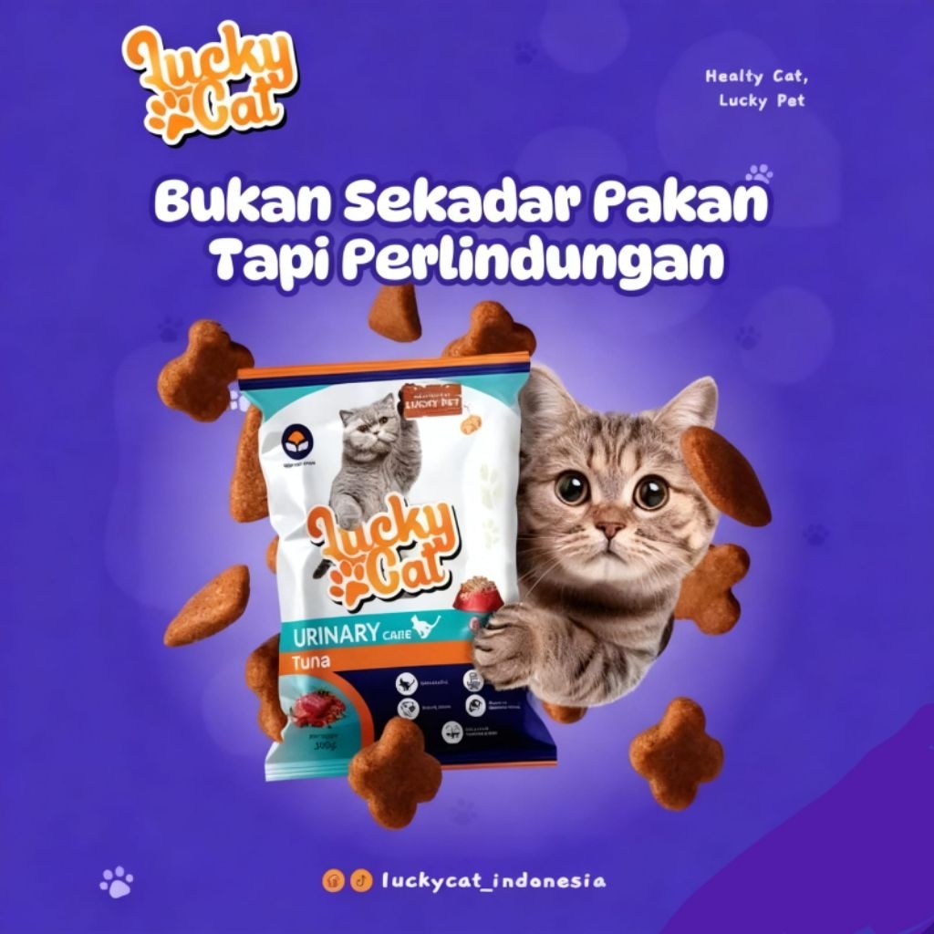 LUCKY CAT URINARY DRY FOOD CAT FOOD 500GR