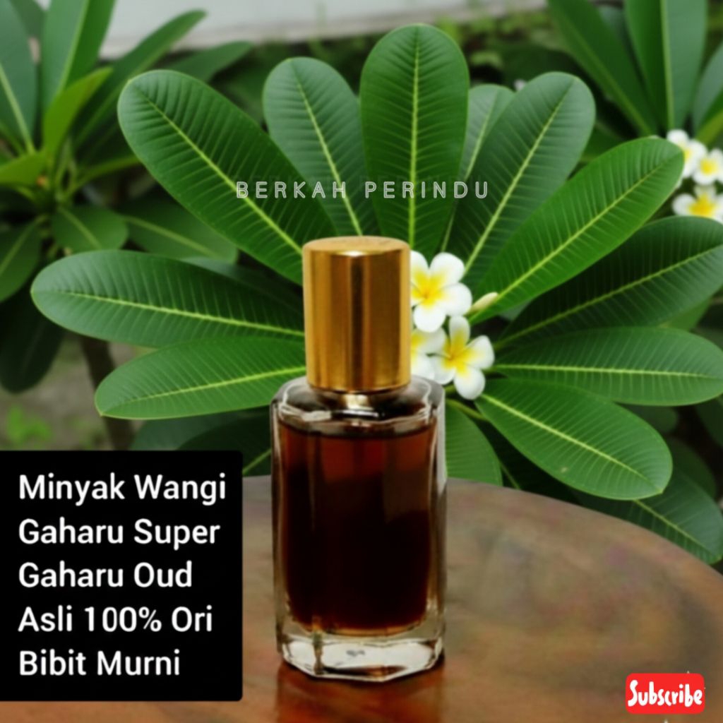 Minyak Wangi Gaharu Super Gaharu Oud Asli 12ml Original Bibit Murni