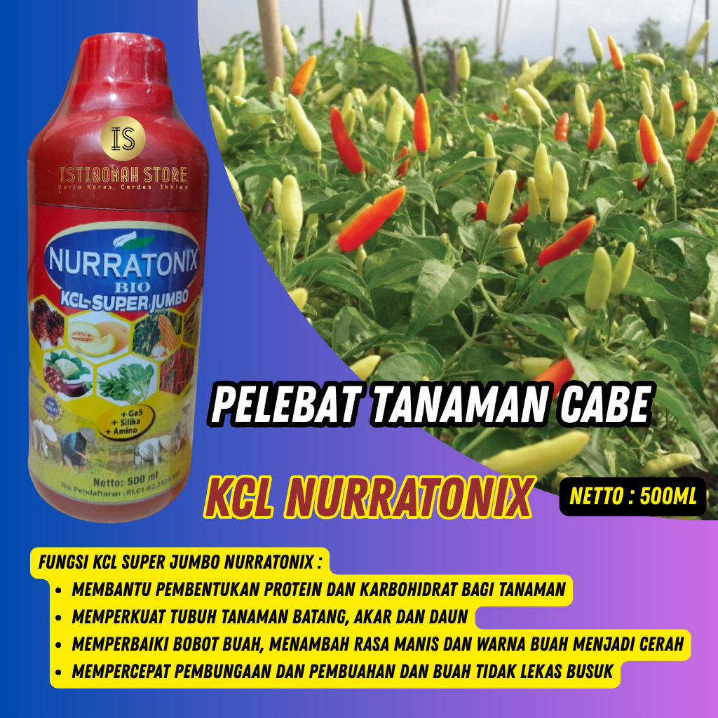 Pupuk Cabe Rawit Agar Berbuah Lebat KCL NURRATONIX 500ML Pupuk Untuk Cabe Rawit Agar Cepat Berbuah S