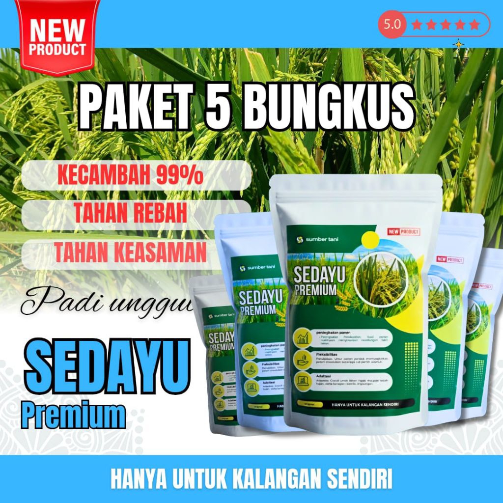 BENIH PADI UNGGUL SEDAYU 5KG (bibit padi unggul sedayu)