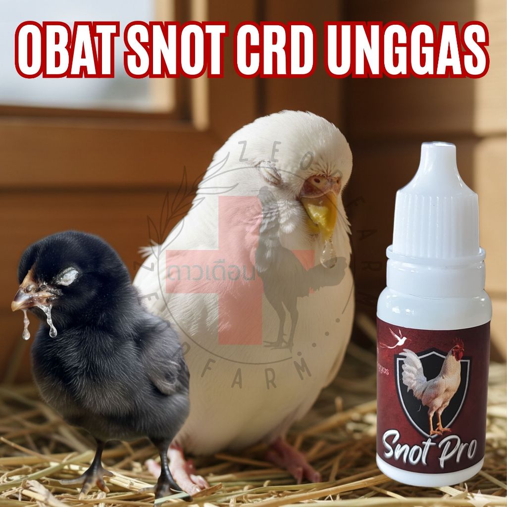 obat ayam pilek snot cdr kolera Mata Berair Unggas Manjur: Atasi Snot, CRD, Pilek &  pada Ayam, Bebe