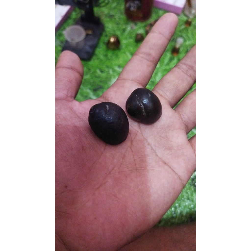 Batu Akik Sepasang Koel Buntet Hitam Asli Alama/ Kol buntet