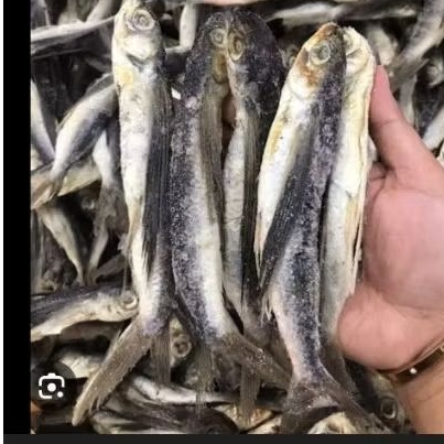 Ikan kering Tuing-Tuing/Ikan Kering Terbang/Pasar Sayur Makassar