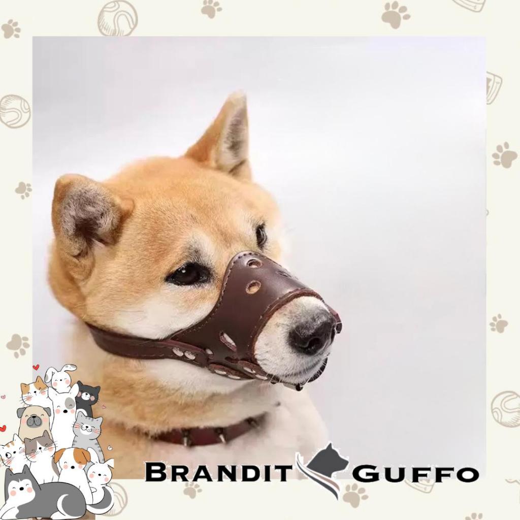 Dog Muzzle Kulit Premium Penutup Mulut Anjing Anti Gigit & Menggonggong
