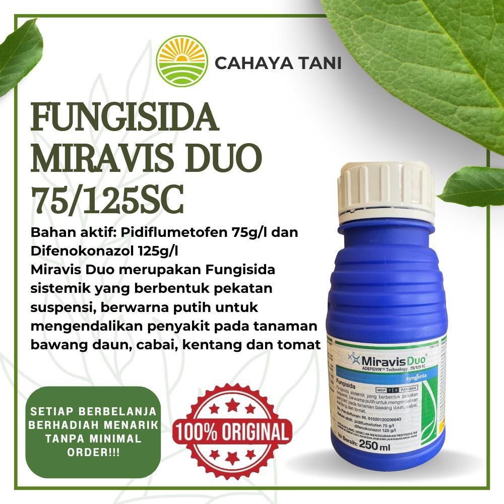 Fungisida MIRAVIS DUO 75/125SC Syngenta