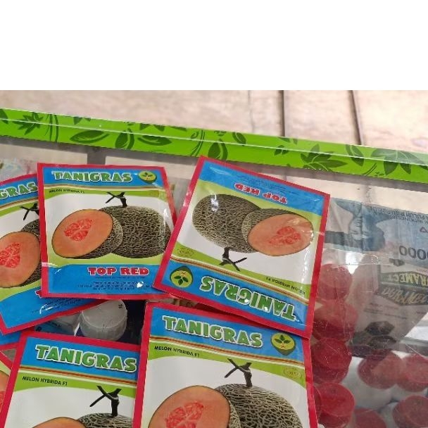Benih Bibit Melon Top Red F1 (Tahan Virus) isi 500 Biji Kadaluarsa 2027 Terbaru
