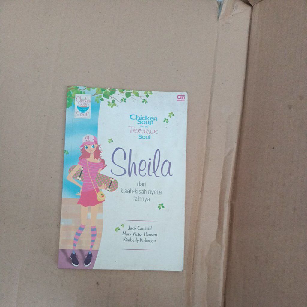 Chicken Soup for the Teenage Soul SHEILA