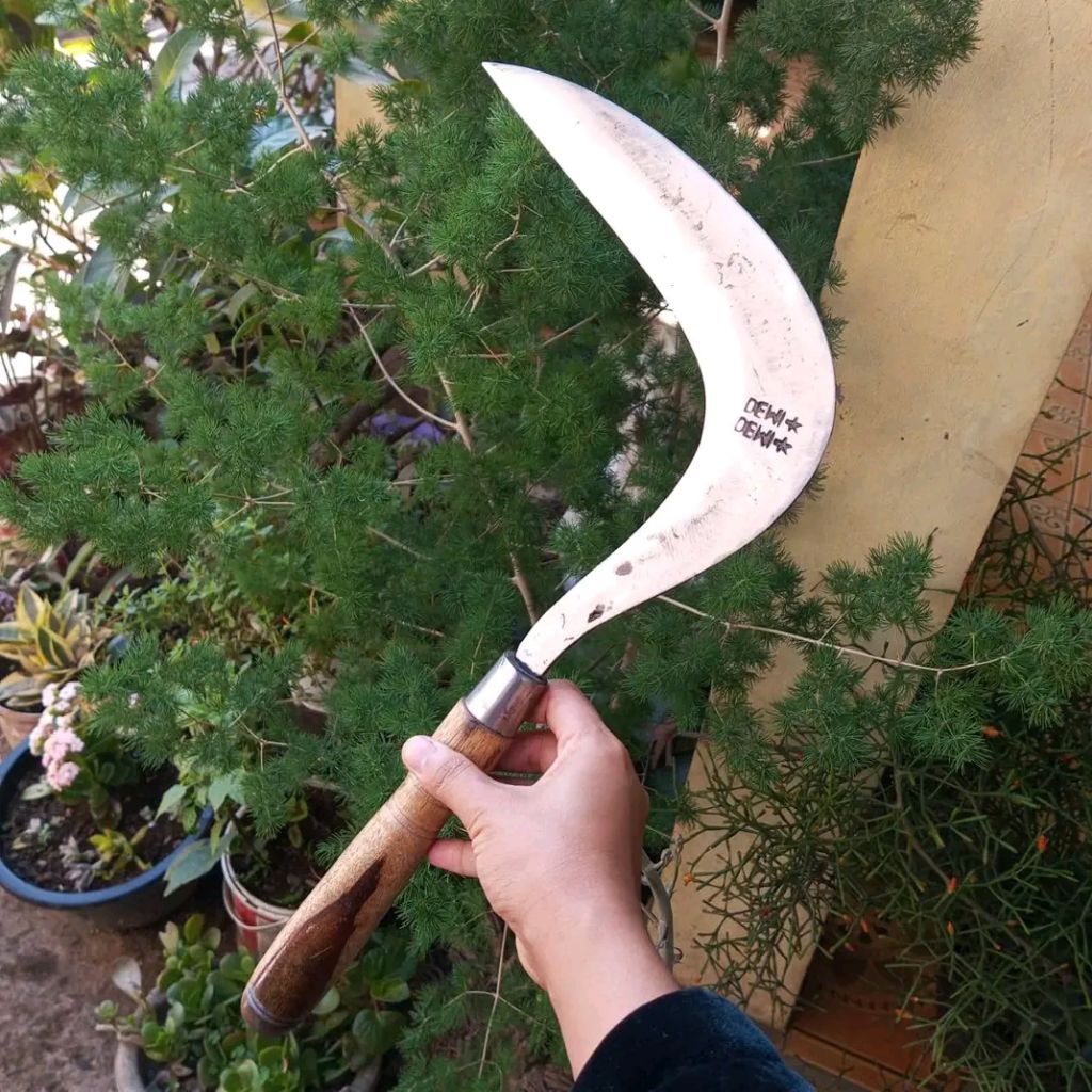 Arit Sabit Rumput Baja Per Dewi Bintang Model Jawa | Gagang Sonokeling | Tajam Siap Pakai