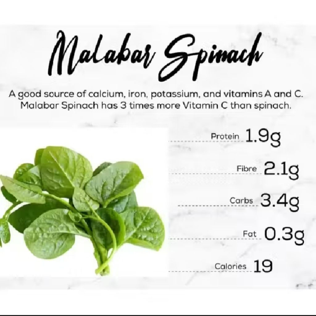 Bibit Sayuran Bayam Malabar Jepang Garansi anti layu 100%