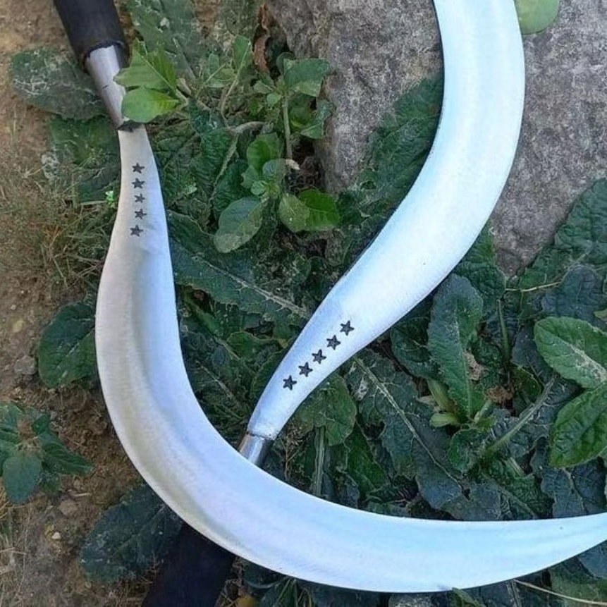 sabit aret rumput rambanan bintang lima asli madura