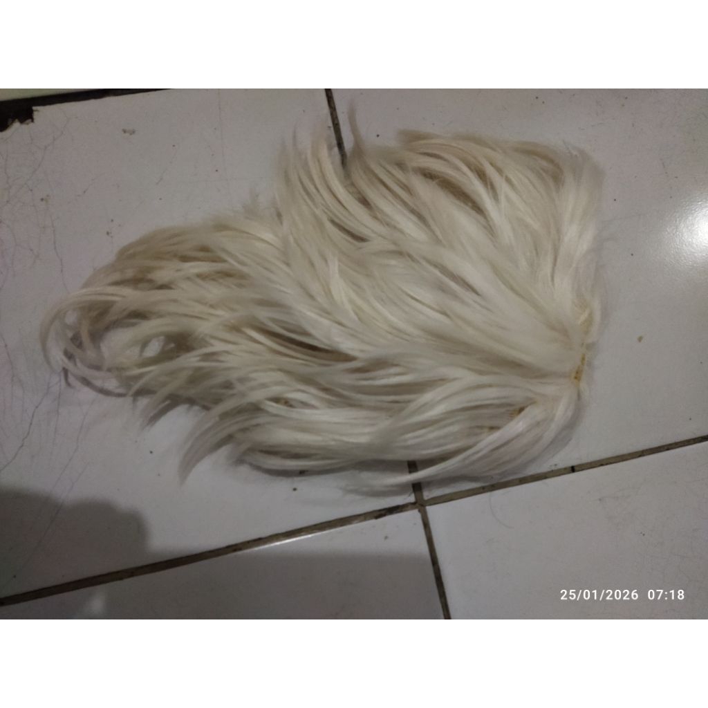 Preloved Wig Base Cowok Putih Pendek