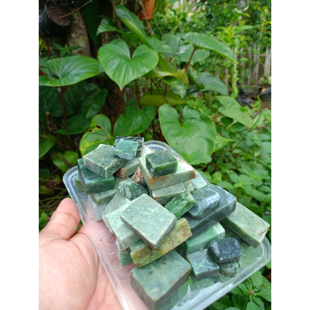 Bahan Giok Netpri Lumut Aceh